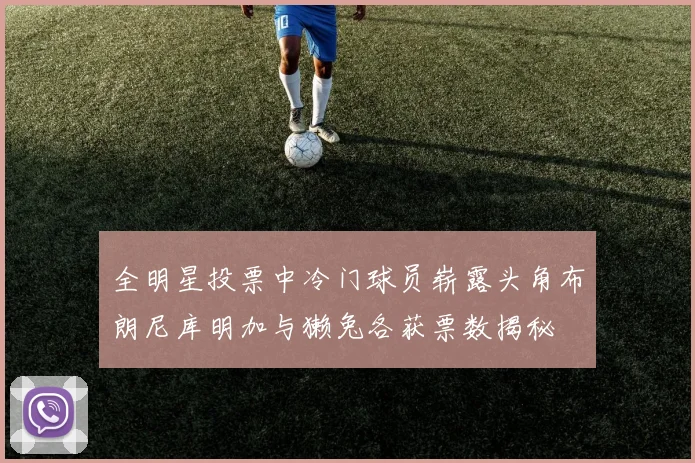 全明星投票中冷门球员崭露头角布朗尼库明加与獭兔各获票数揭秘