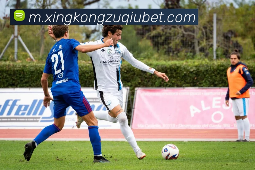 App Interface Preview